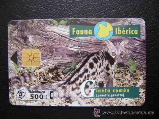 Collection telephone cards: TARJETA TELEFONICA.............GINETA COMUN................RARA