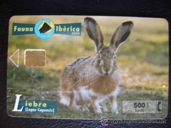 Collection telephone cards: TARJETA TELEFONICA............LIEBRE................RARA