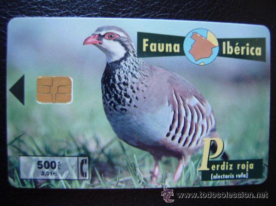 Collection telephone cards: TARJETA TELEFONICA............PERDIZ ROJA................RARA