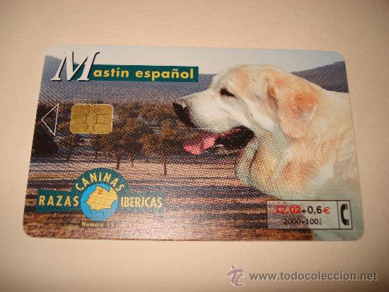 Collection telephone cards: TARJETA TELEFONICA 12,02 + 0,6 &euro; RAZAS CANINAS IBERICAS MASTIN ESPA&Ntilde;OL