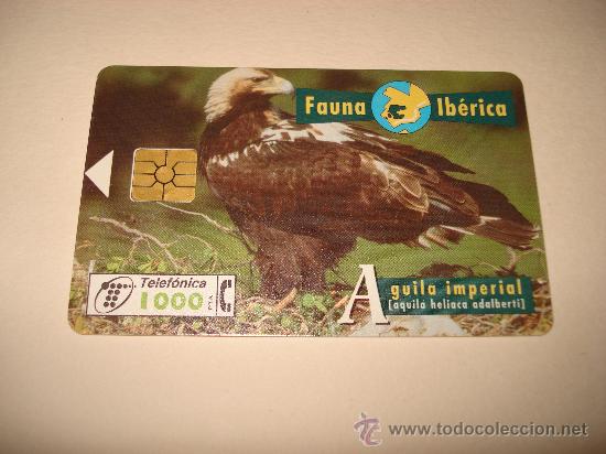 Collection telephone cards: TARJETA TELEFONICA 1000 PTA FAUNA IBERICA AGUILA IMPERIAL
