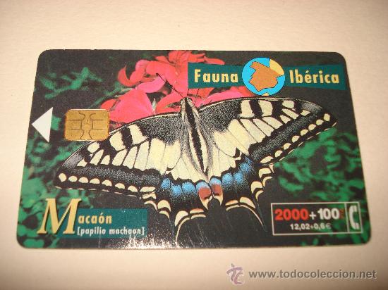 Collection telephone cards: TARJETA TELEFONICA 2000 + 100 PTA FAUNA IBERICA MACAON