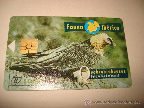 Sammlung von Telefonkarten: TARJETA TELEFONICA 1000 PTA FAUNA IBERICA Quebrantahuesos
