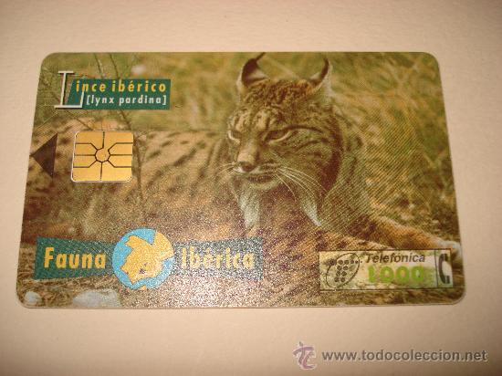 Tarjetas telef&oacute;nicas de colecci&oacute;n: TARJETA TELEFONICA 1000 PTA FAUNA IBERICA LINCE IBERICO