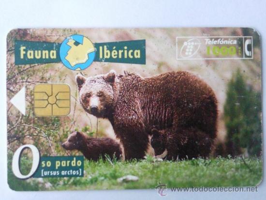 Collection telephone cards: TARJETA TELEFONICA ,- FAUNA IBERICA, OSOPARDO  1000 PTA,- USADA ,-