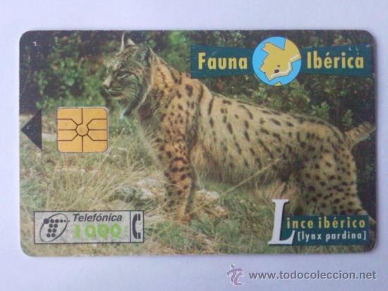 Collection telephone cards: TARJETA TELEFONICA ,- FAUNA IBERICA, LINCE IBERICO  1000 PTA,- USADA ,-