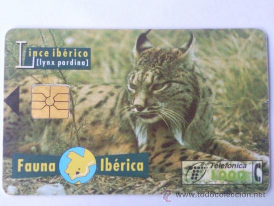 Collection telephone cards: TARJETA TELEFONICA ,- FAUNA IBERICA, LINCE IBERICO  1000 PTA,- USADA ,-