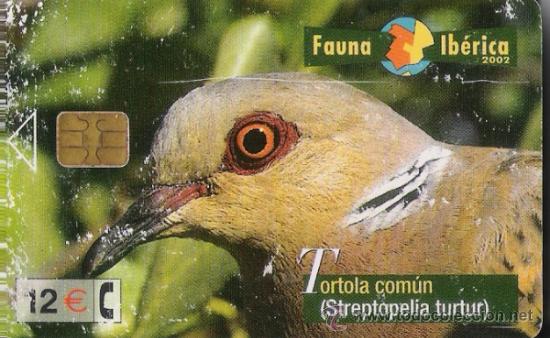 Collection telephone cards: TARJETA TELEF&Oacute;NICA- FAUNA IB&Eacute;RICA ( T&Oacute;RTOLA COM&Uacute;N )