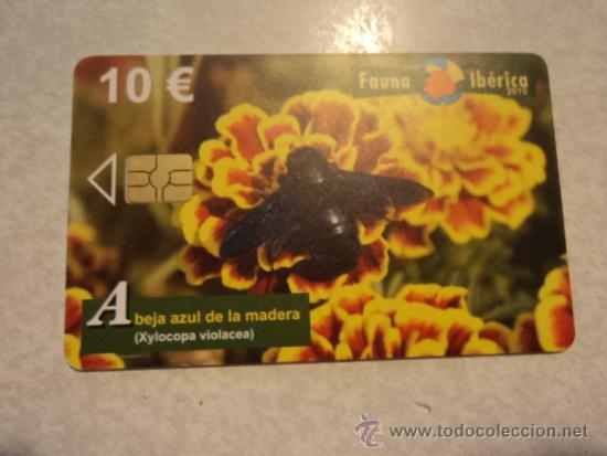 Collection telephone cards: Tarjeta telef&oacute;nica ; Fauna Ib&eacute;rica, abeja azul de la madera. Usada. 2010