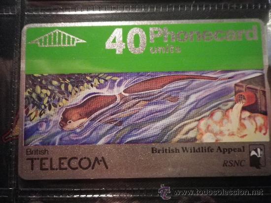 Collection telephone cards: TEL&Eacute;FONO TARJETA TELEFONICA  BT PHONECARD 40  NUEVA