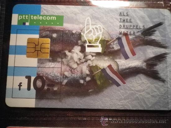 Sammlung von Telefonkarten: TEL&Eacute;FONO TARJETA TELEF&Oacute;NICA PTT TELECOM