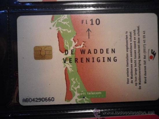 Sammlung von Telefonkarten: TEL&Eacute;FONO TARJETA TELEF&Oacute;NICA PTT TELECOM