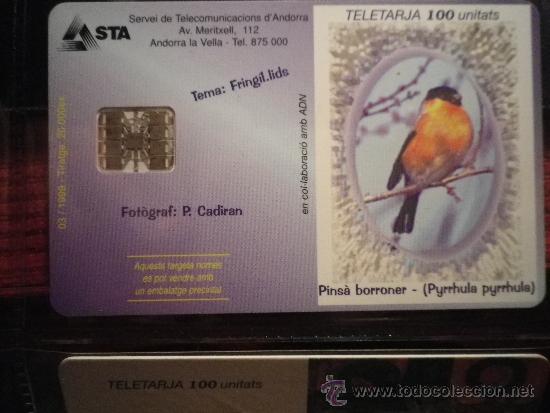 Sammlung von Telefonkarten: TARJETA TEL&Eacute;FONO ANDORRA TELETARJA  100