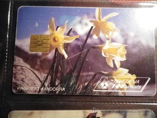 Sammlung von Telefonkarten: TARJETA TEL&Eacute;FONO ANDORRA TELETARJA  100