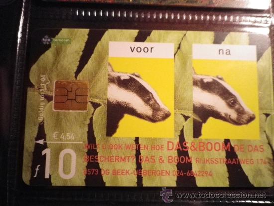 Sammlung von Telefonkarten: TEL&Eacute;FONO TARJETA TELEF&Oacute;NICA DE HOLANDA  TELECOM KPN  - 10