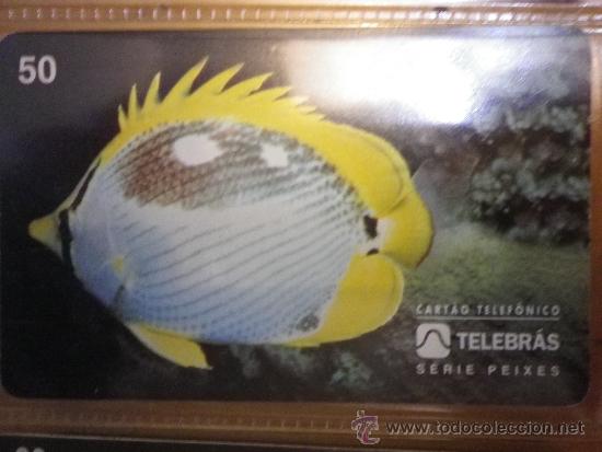 Cart&otilde;es de telefone de cole&ccedil;&atilde;o: TEL&Eacute;FONO TARJETA TELEF&Oacute;NICA SISTEMA TELEBRAS 20  BORBOLETA  07-95