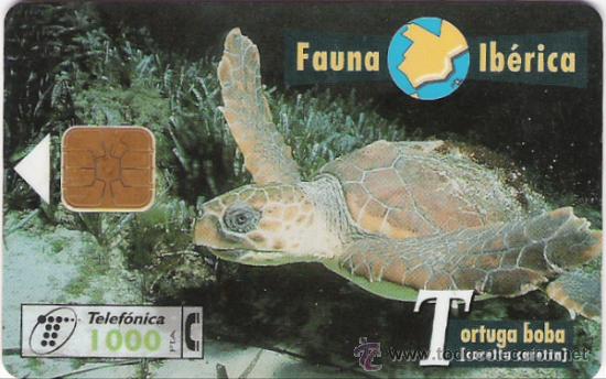 Sammlung von Telefonkarten: TARJETA TELEFONICA - FAUNA IBERICA - 3 X 1 &euro;. - VER FOTOS ADICCIONALES