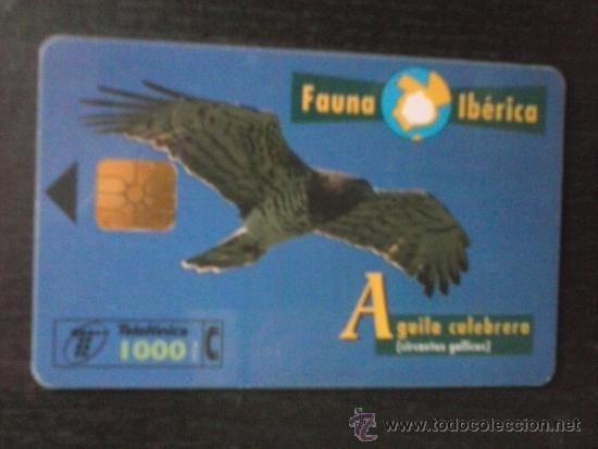 Tarjetas telef&oacute;nicas de colecci&oacute;n: Tarjeta Telefonica usada - Foto 1