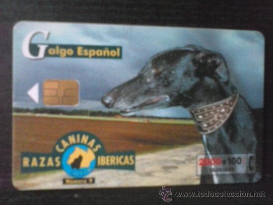 Tarjetas telef&oacute;nicas de colecci&oacute;n: Tarjeta Telefonica usada - Foto 1