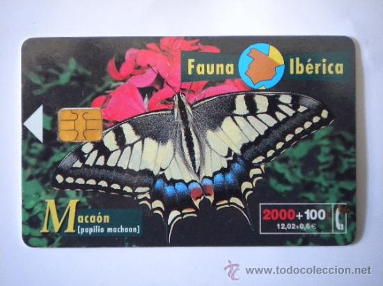 Tarjeta Telef&oacute;nica Maca&oacute;n