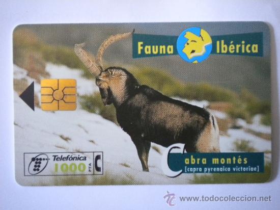 Cart&otilde;es de telefone de cole&ccedil;&atilde;o: Tarjeta Telef&oacute;nica Cabra Mont&eacute;s