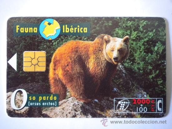 Cart&otilde;es de telefone de cole&ccedil;&atilde;o: Tarjeta Telef&oacute;nica Oso Pardo
