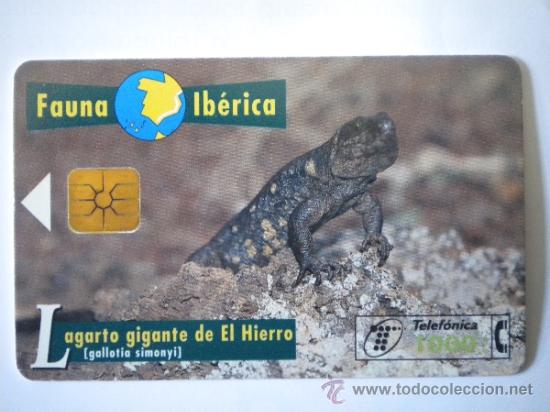 Cart&otilde;es de telefone de cole&ccedil;&atilde;o: Tarjeta Telef&oacute;nica Lagarto gigante de El Hierro
