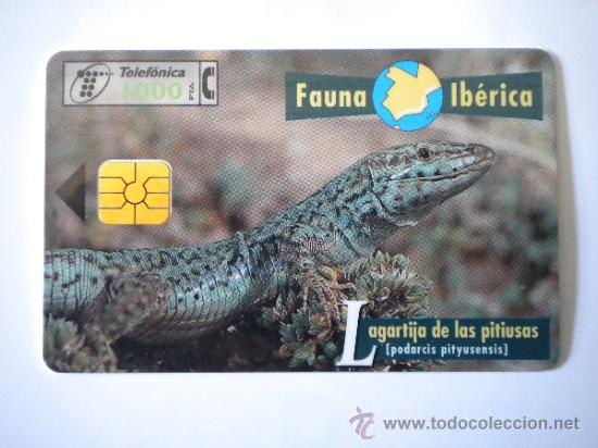 Cart&otilde;es de telefone de cole&ccedil;&atilde;o: Tarjeta Telef&oacute;nica Lagartija de la pitiusas