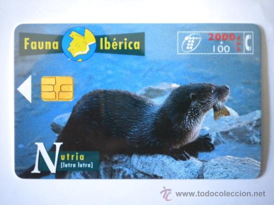 Cart&otilde;es de telefone de cole&ccedil;&atilde;o: Tarjeta Telef&oacute;nica Nutria
