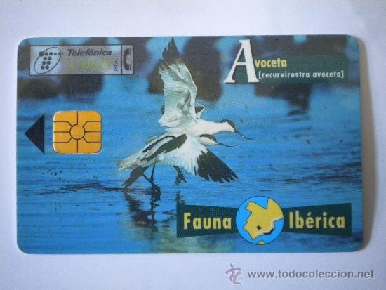 Cart&otilde;es de telefone de cole&ccedil;&atilde;o: Tarjeta Telef&oacute;nica Avoceta