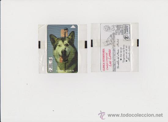 Carte telefoniche di collezione: TARJETA TELEFONICA - ALASKAN MALAMUTE - 100 PTS. NUEVA / PRECINTADA