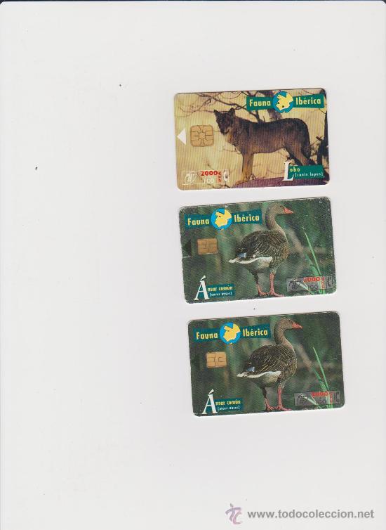 Collection telephone cards: TARJETA TELEFONICA - FAUNA IBERICA - 2000+100 PTS. / SIN PRECINTO - 3 TARJETAS