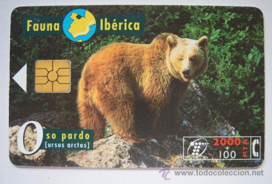 Collection telephone cards: Fauna Ib&eacute;rica. Oso pardo. 2000 + 100 pesetas. Tirada de un mill&oacute;n.