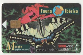 Collection telephone cards: Tarjeta telef&oacute;nica Fauna Ib&eacute;rica - Maca&oacute;n