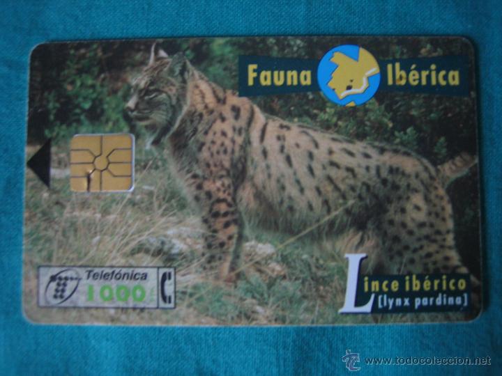 Tarjetas telef&oacute;nicas de colecci&oacute;n: Tarjeta de tel&eacute;fono - Foto 1