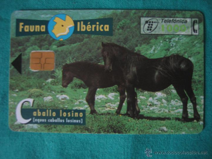 Tarjetas telef&oacute;nicas de colecci&oacute;n: Tarjeta de tel&eacute;fono - Foto 1