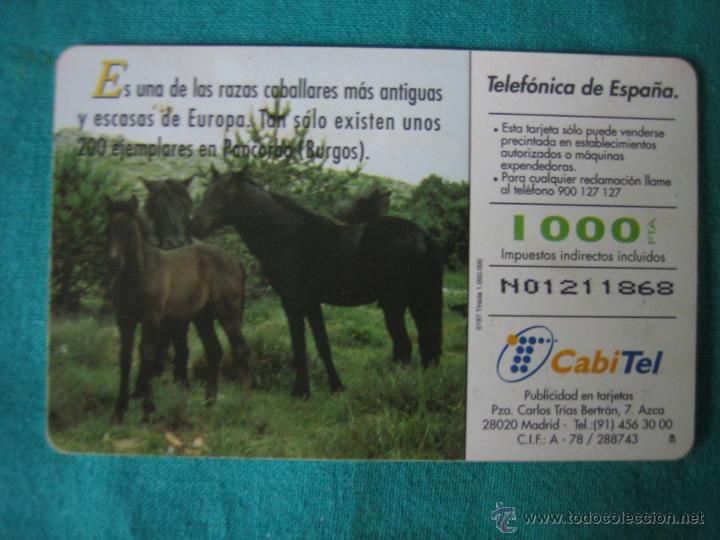 Tarjetas telef&oacute;nicas de colecci&oacute;n: Tarjeta de tel&eacute;fono - Foto 2