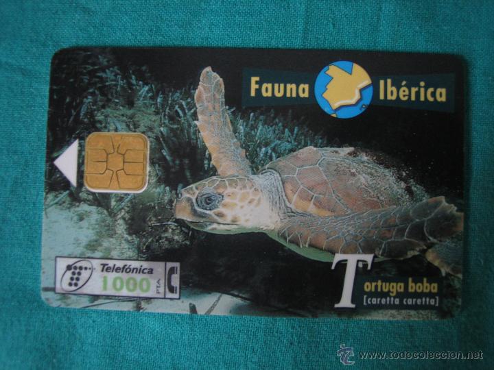 Collection telephone cards: Tarjeta de tel&eacute;fono
