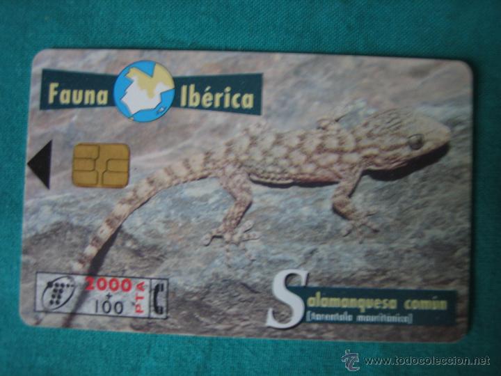 Collection telephone cards: Tarjeta de tel&eacute;fono
