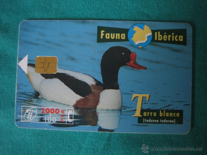 Tarjetas telef&oacute;nicas de colecci&oacute;n: Tarjeta de tel&eacute;fono - Foto 1