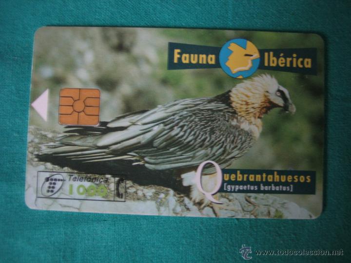 Tarjetas telef&oacute;nicas de colecci&oacute;n: Tarjeta de tel&eacute;fono - Foto 1