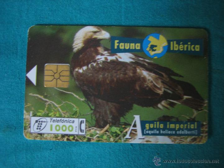 Tarjetas telef&oacute;nicas de colecci&oacute;n: Tarjeta de tel&eacute;fono - Foto 1
