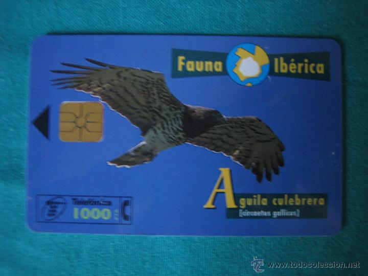 Tarjetas telef&oacute;nicas de colecci&oacute;n: Tarjeta de tel&eacute;fono - Foto 1