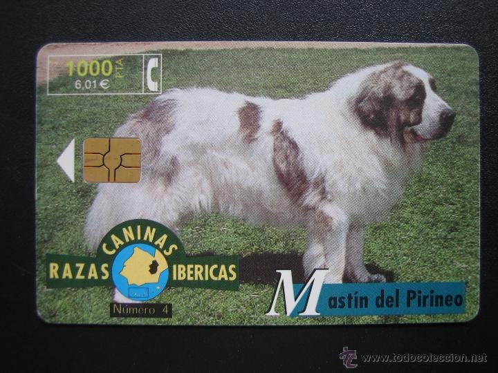 Tarjetas telef&oacute;nicas de colecci&oacute;n: Tarjeta telef&oacute;nica - Foto 1