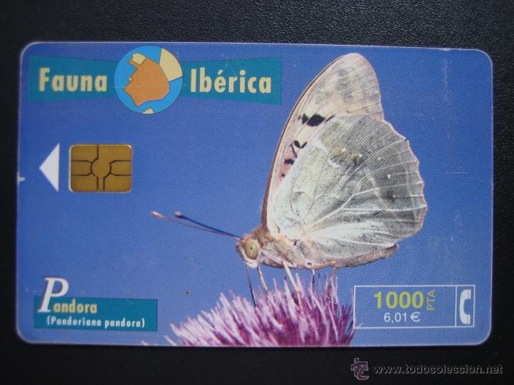 Tarjetas telef&oacute;nicas de colecci&oacute;n: Tarjeta telef&oacute;nica - Foto 1