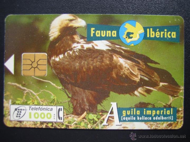 Tarjetas telef&oacute;nicas de colecci&oacute;n: Tarjeta telef&oacute;nica - Foto 1
