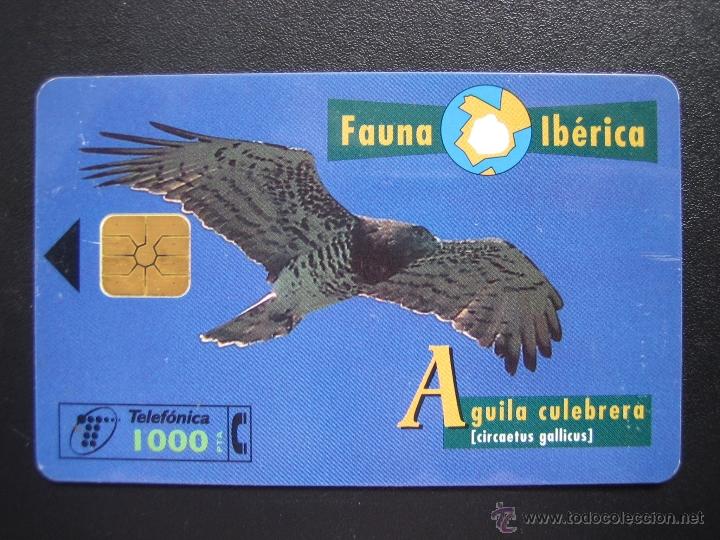 Tarjetas telef&oacute;nicas de colecci&oacute;n: Tarjeta telef&oacute;nica - Foto 1
