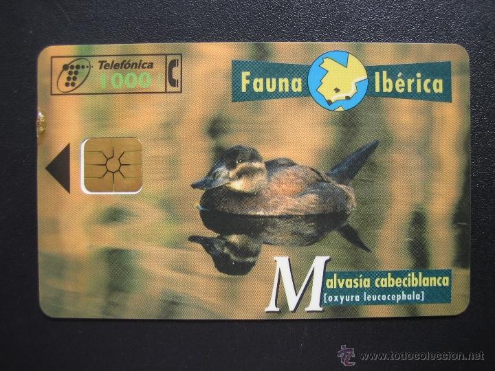 Tarjetas telef&oacute;nicas de colecci&oacute;n: Tarjeta telef&oacute;nica - Foto 1