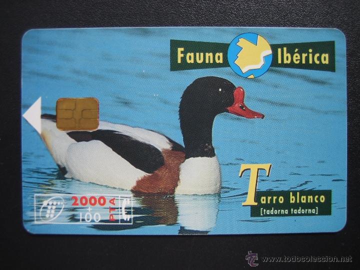 Tarjetas telef&oacute;nicas de colecci&oacute;n: Tarjeta telef&oacute;nica - Foto 1