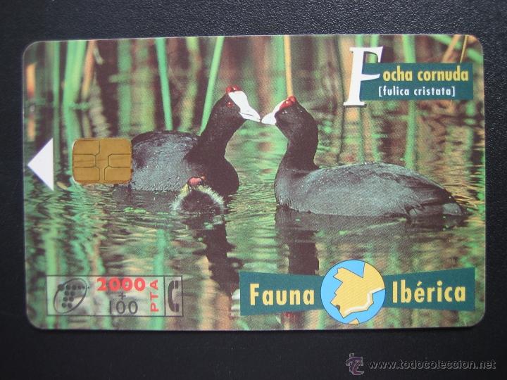 Tarjetas telef&oacute;nicas de colecci&oacute;n: Tarjeta telef&oacute;nica - Foto 1